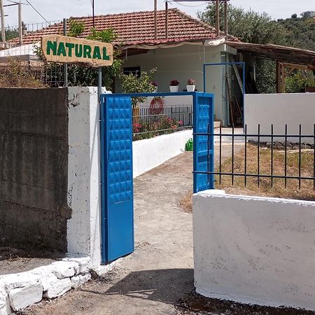 Natural Hostel Himare Esterno foto
